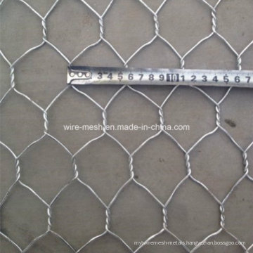 Hex. Wire Mesh/Chicken Wire Mesh